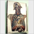 Таблиця з Атласу М.І. Пирогова "Анатомічні зображення людського тіла"