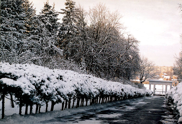 ���������� ���� ������