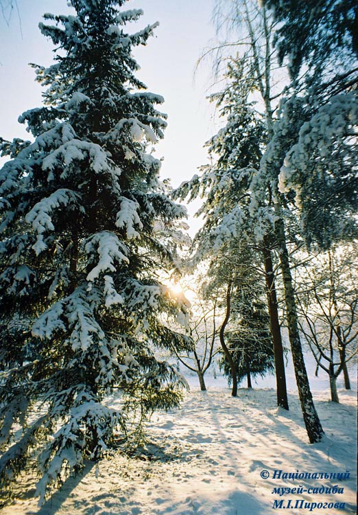 ������ ����� � ����� �����