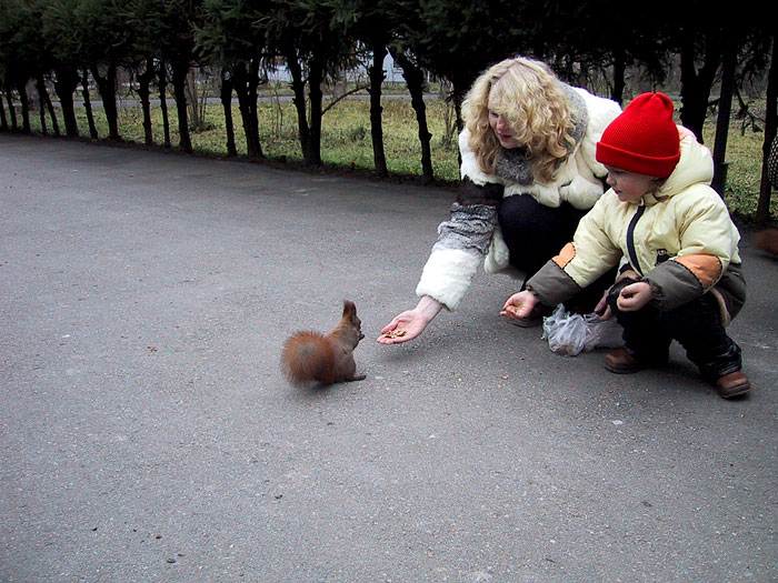 ������ � ������������ �����