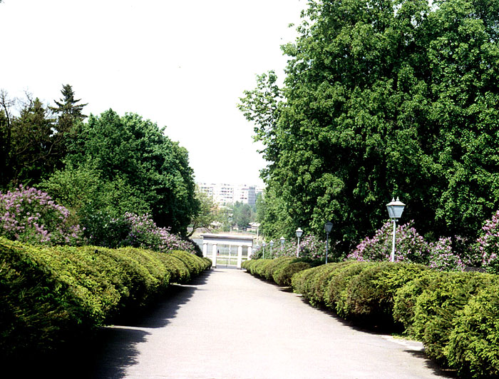 ���������� ����